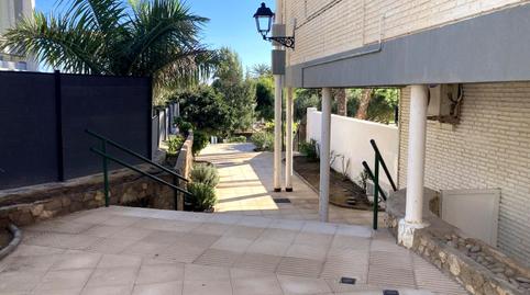 Photo 5 of Apartments for rent in La Laguna, Puerto Rey, Vera