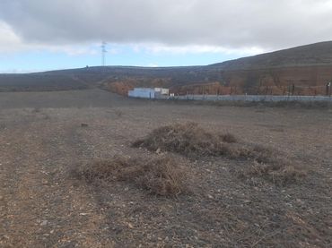 Terrenys i solars en venda a Pedanías