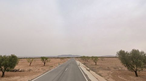 CiezaTerreno, immagine 3
