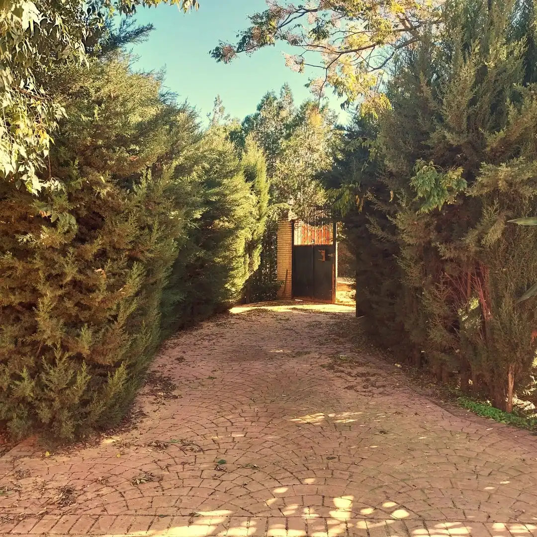 Terreni e lotti in vendita a Carmona, imagen 5