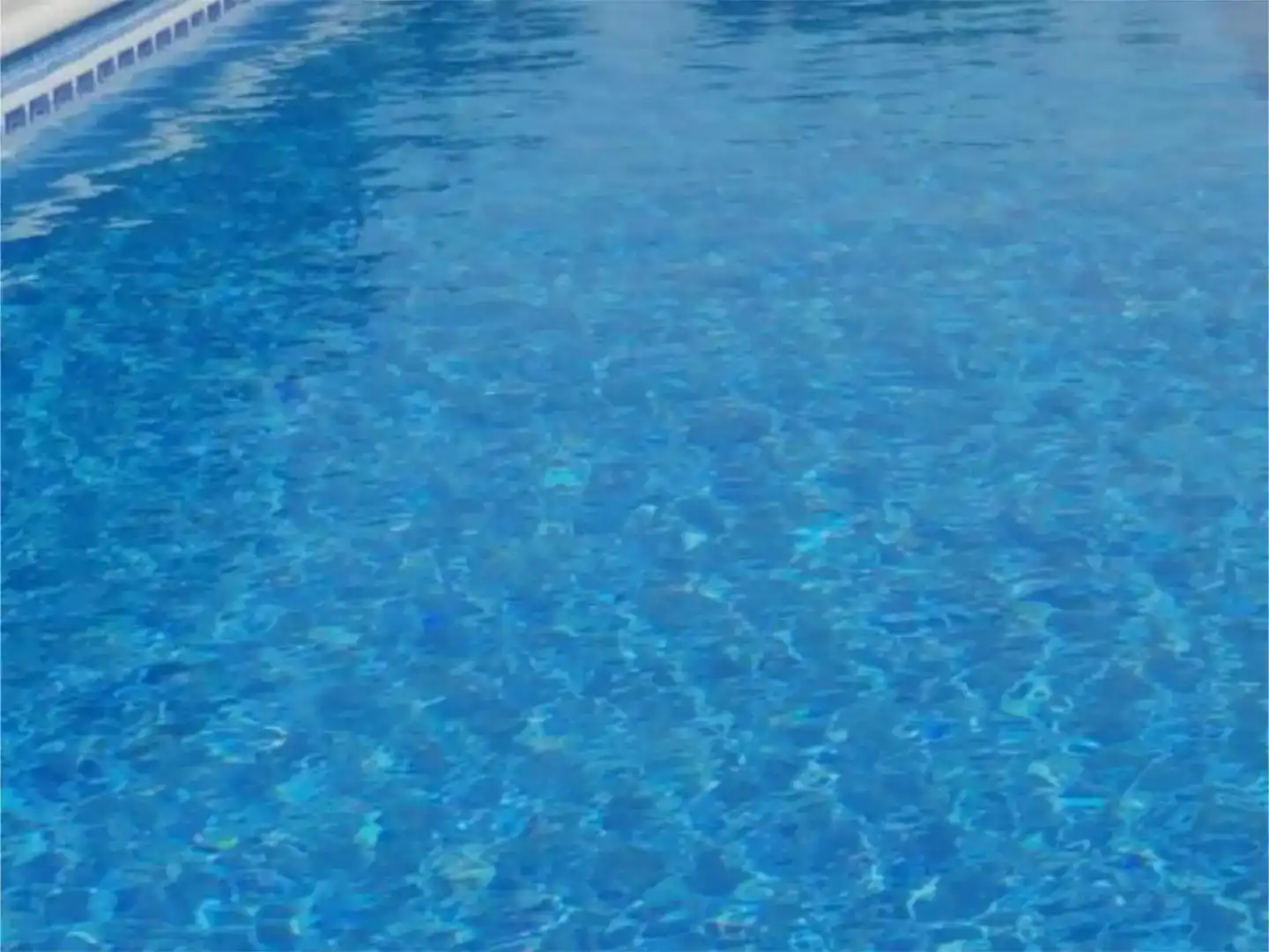 Piscina de Finca rústica en venda en Vilches amb Jardí privat, Piscina i Moblat
