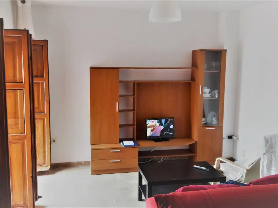 Living room of Flat for rent in Centro