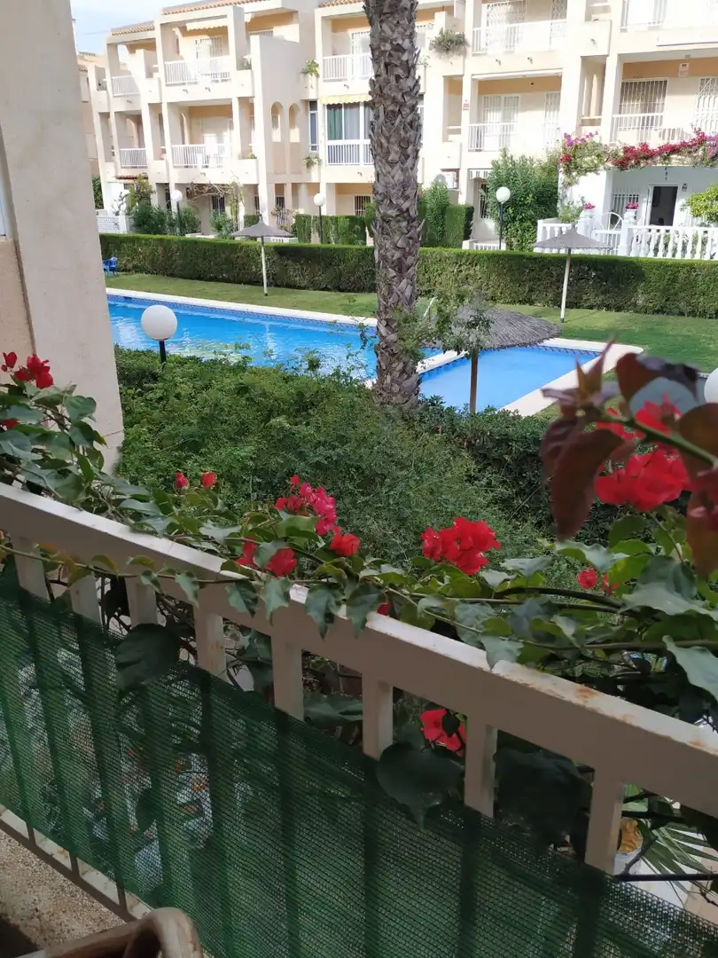 Jardín de Apartamento de alquiler en Torrevieja con Calefacción, Piscina y Amueblado