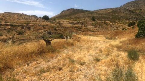 Photo 2 of Land for sale in Aguica, S/n, Fontanares, Lorca