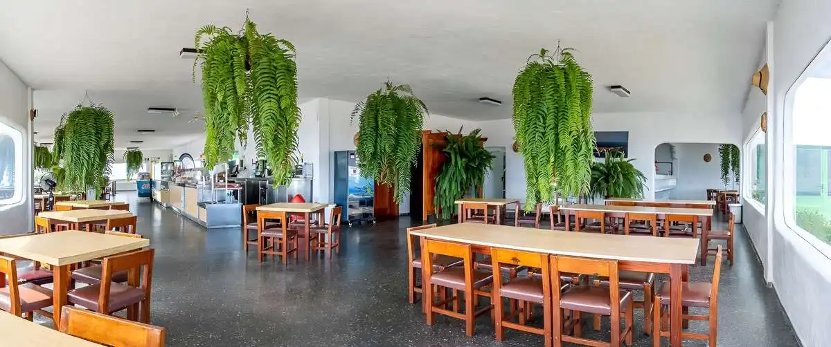 Commercial properties for sale in Haría  with Furnished