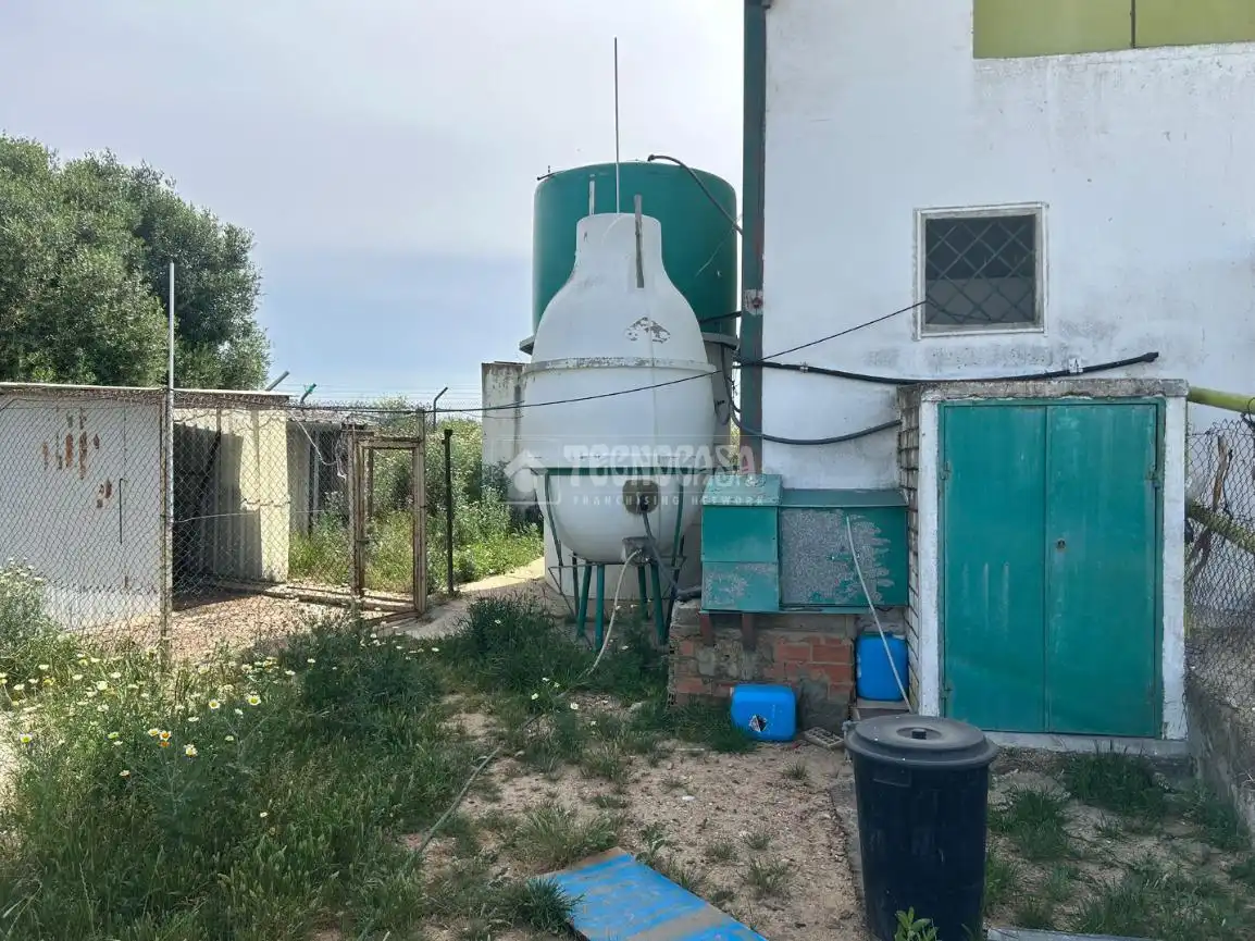 Vista exterior de Finca rústica en venta en Huelva