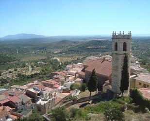 Vista exterior de Casa o xalet en venda en Cervera del Maestre amb Terrassa