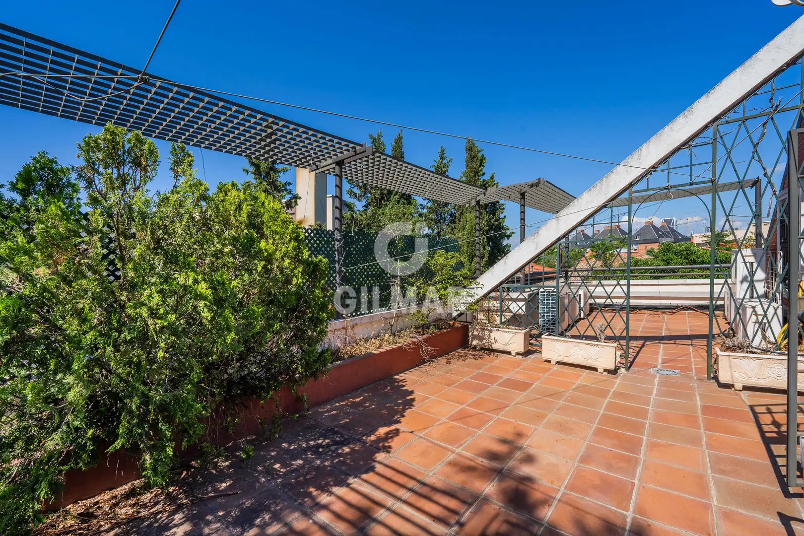 Jardín de Casa o chalet en venta en Madrid con Calefacción, Jardín privado y Piscina