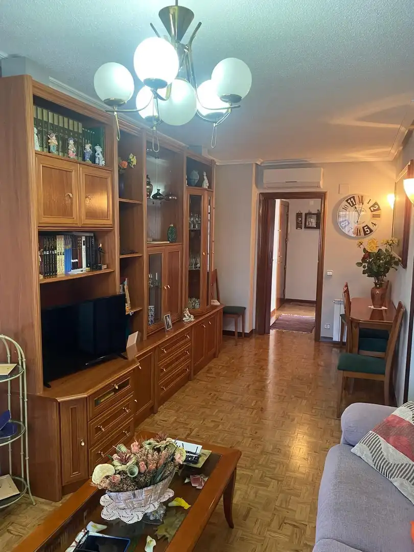 Sala d'estar de Pis en venda en Getafe amb Aire condicionat, Calefacció i Parquet