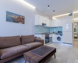 Sala d'estar de Estudi de lloguer en  Madrid Capital amb Calefacció