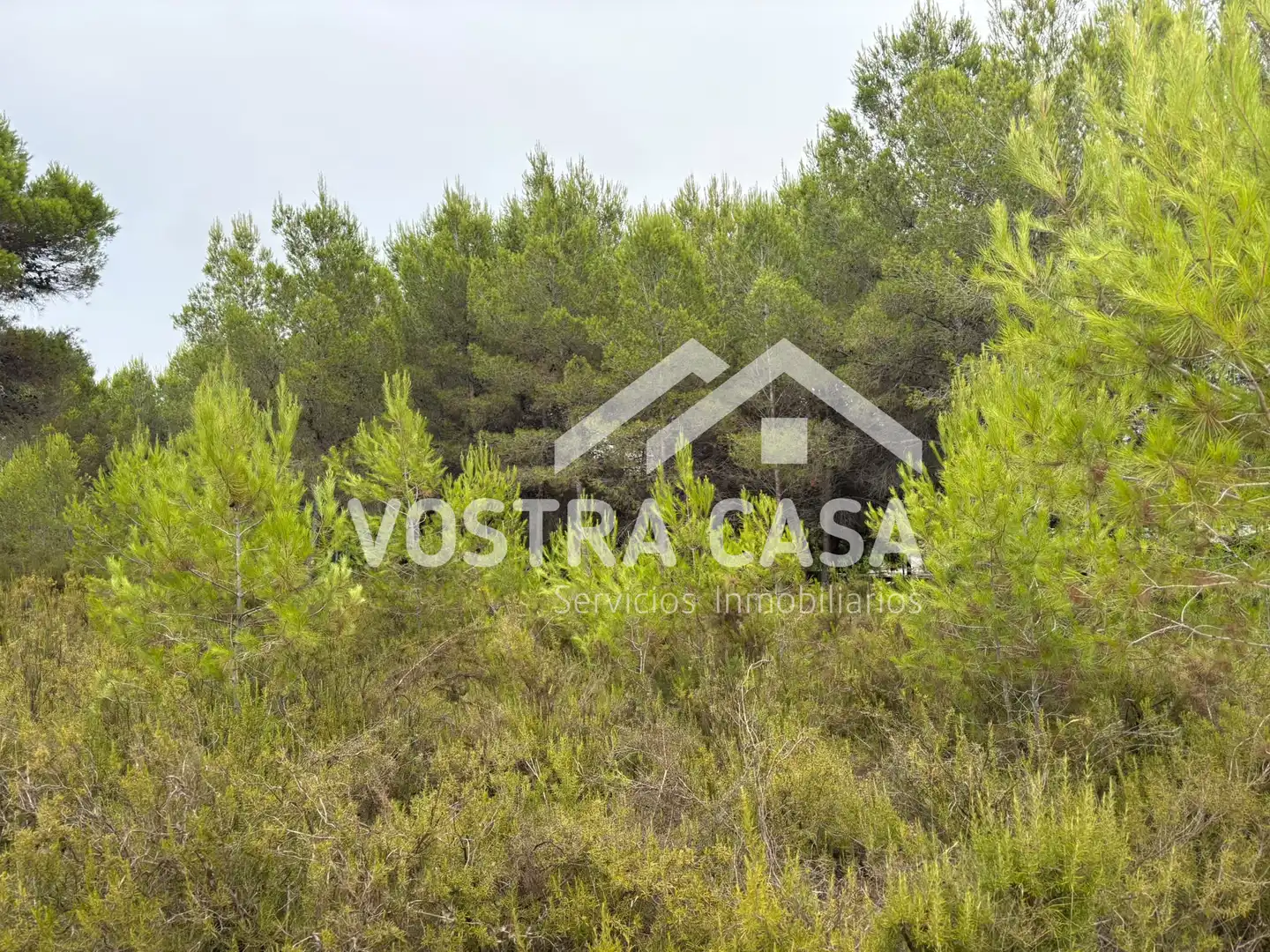 Terreno rustico in vendita a CL BADAJOZ, imagen 9