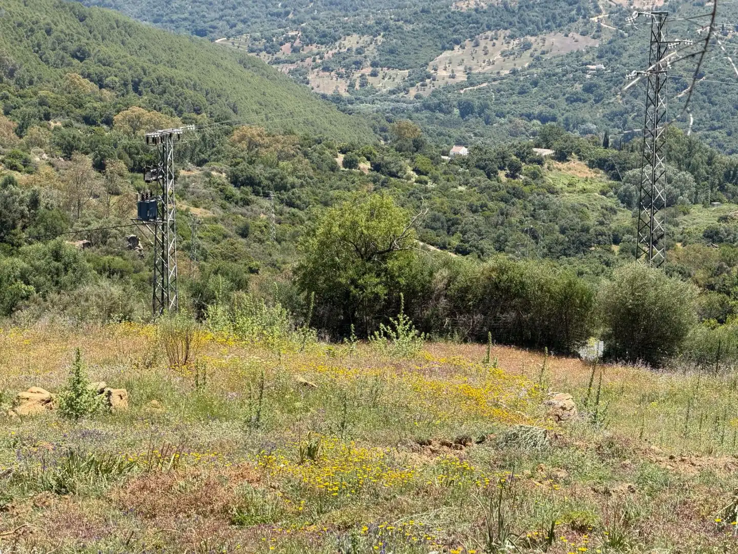 Casa rústica en venda a Gaucín, imagen 18