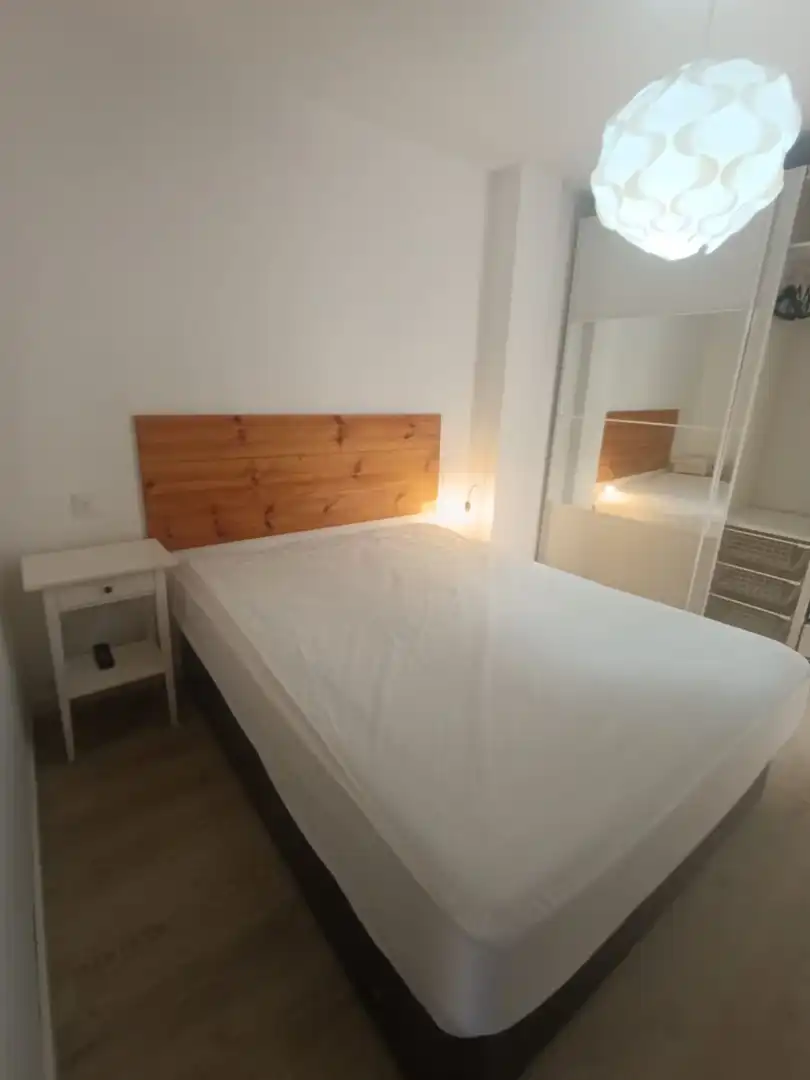 Apartments for rent in Calle Numa Guilhou, Barrio del Centro