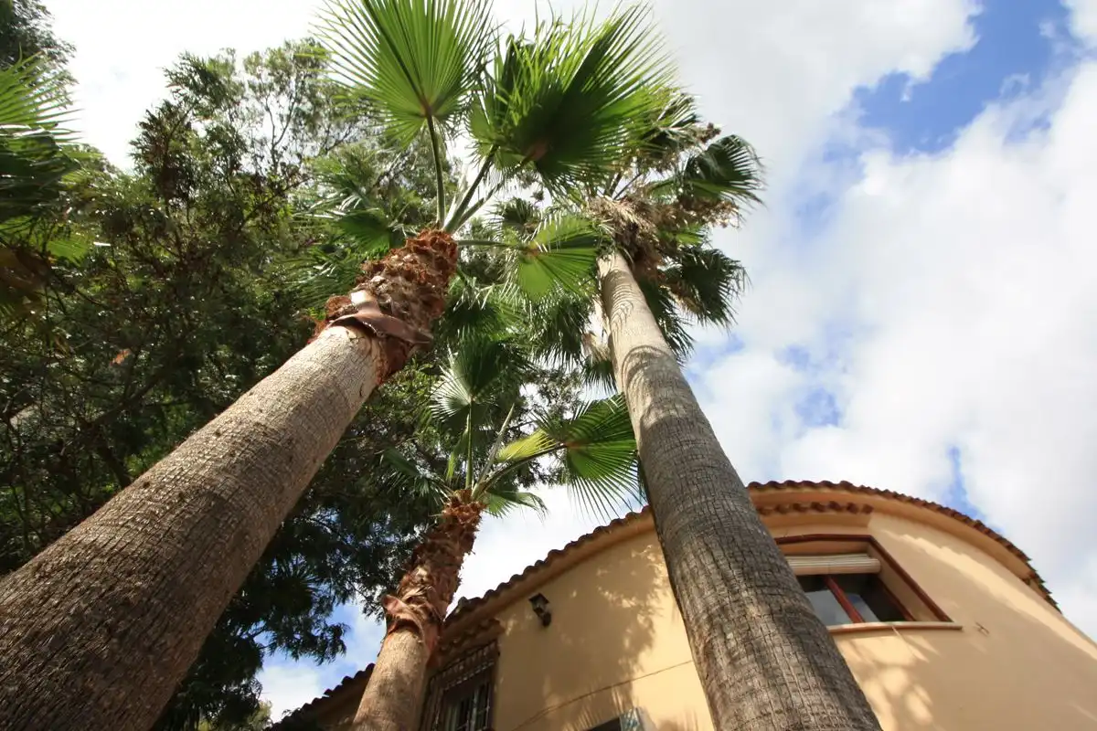 Villa avec piscine à vendre à El Montgó, imagen 21
