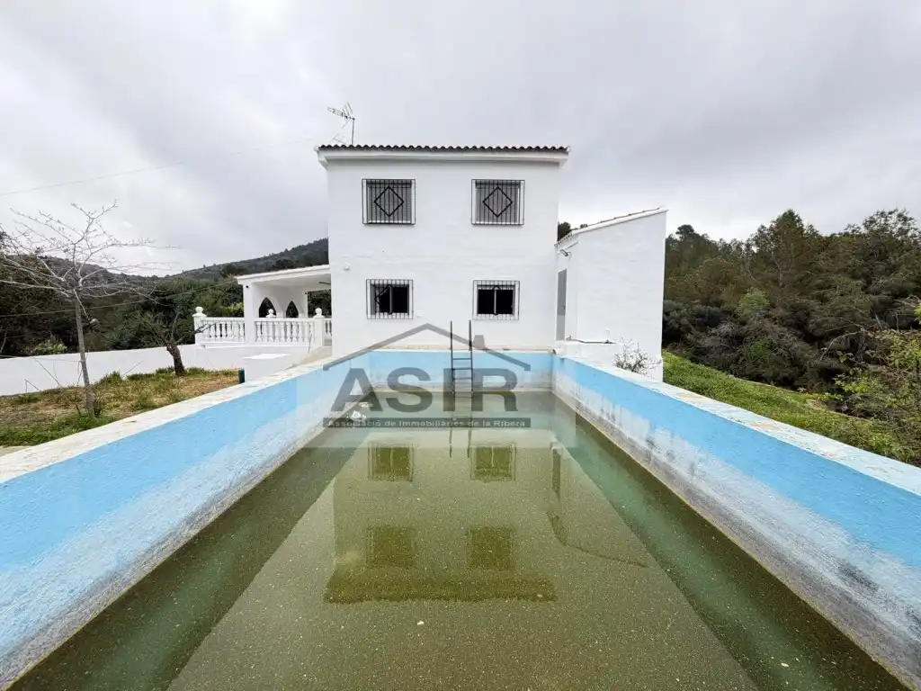 Swimming pool of Houses for sale in Alzira