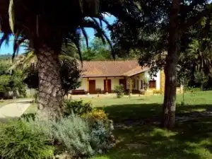 Jardí de Casa o xalet en venda en Gijón  amb Jardí privat, Parquet i Terrassa