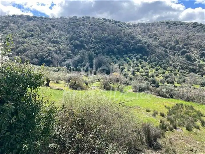 Residential for sale in Valdepeñas de Jaén