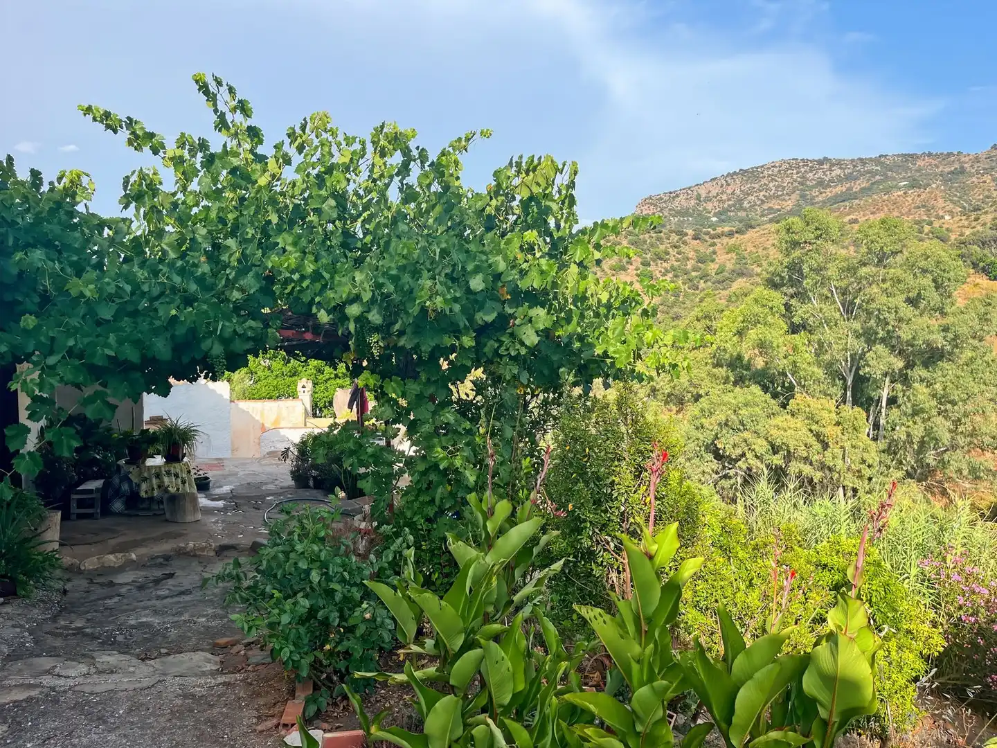 Terrace of Country homes for sale in Comares