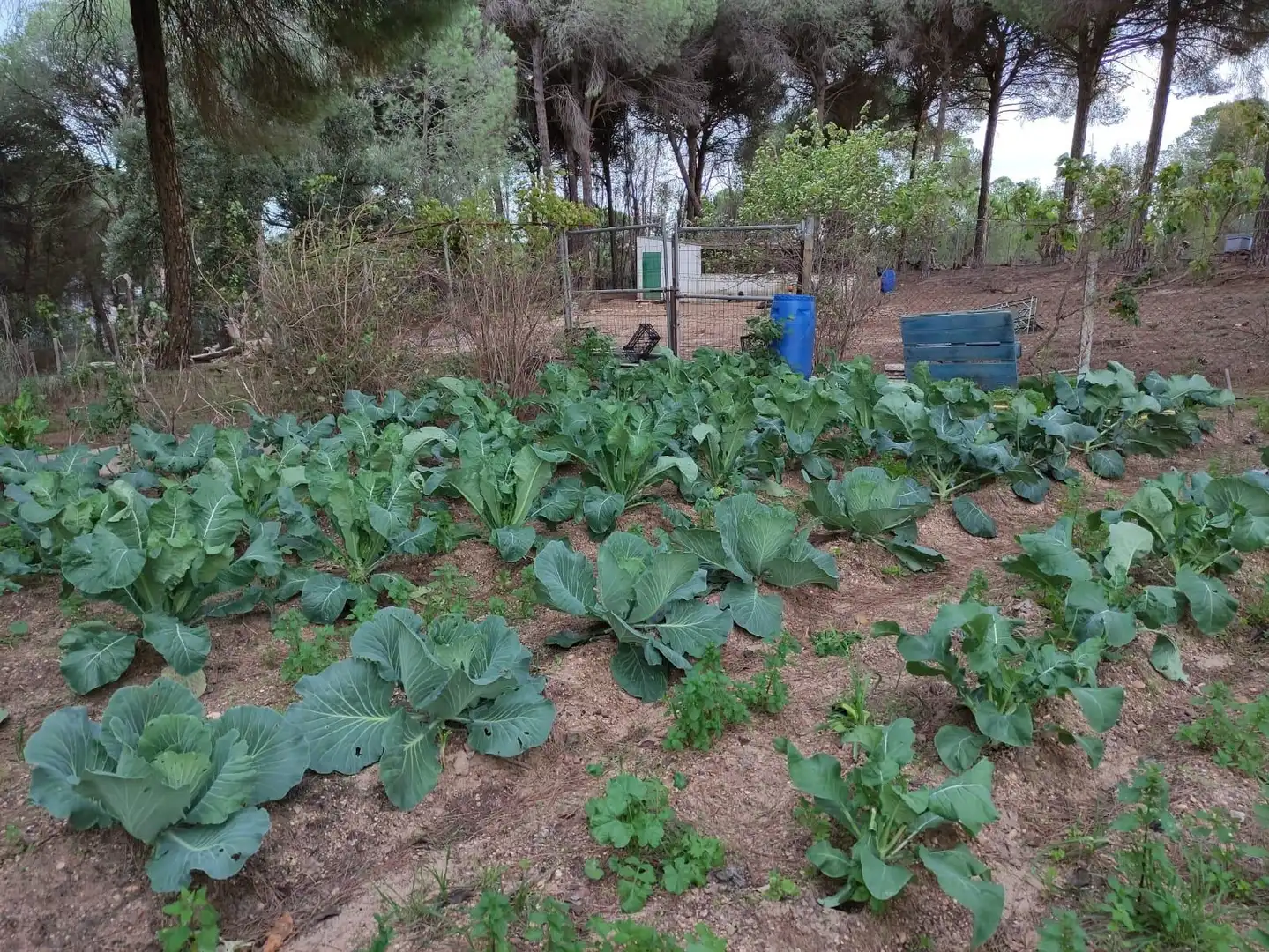Casa en venda a Beas, imagen 13