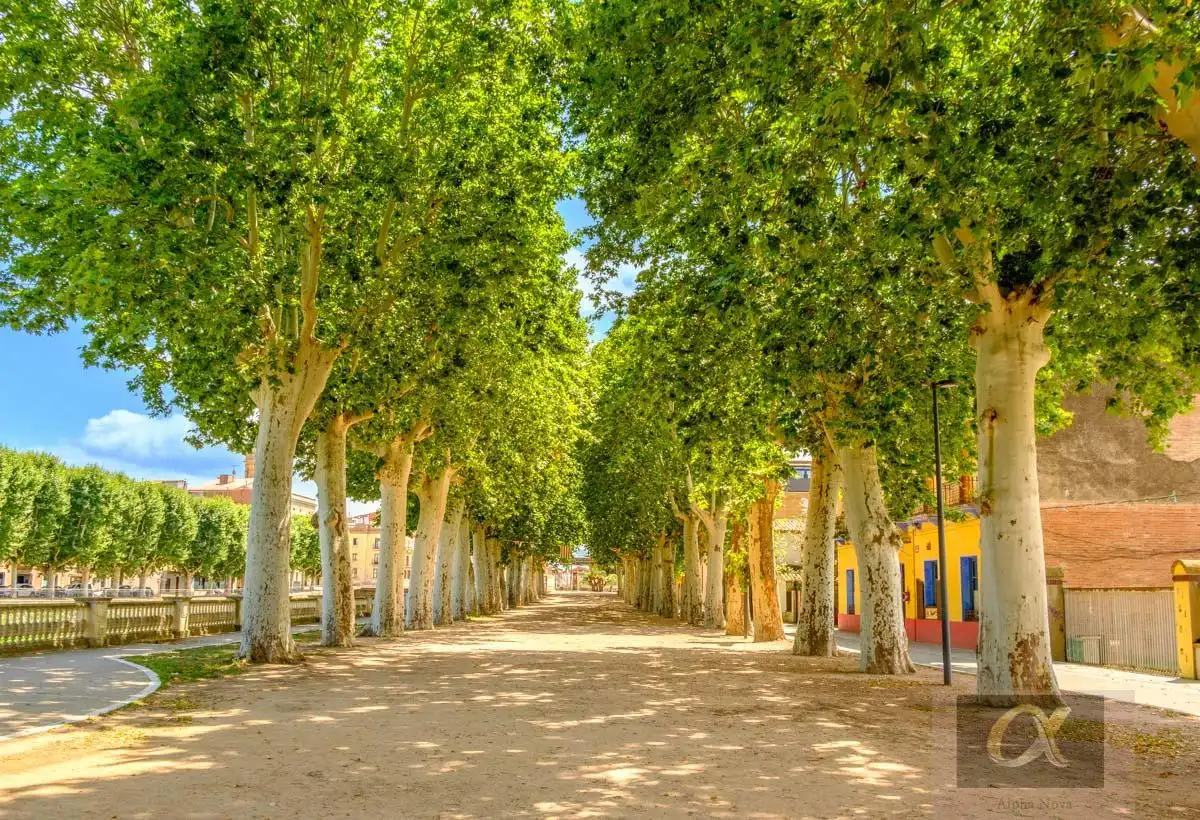 Residential zum Verkauf in Cami del Pi, Forallac