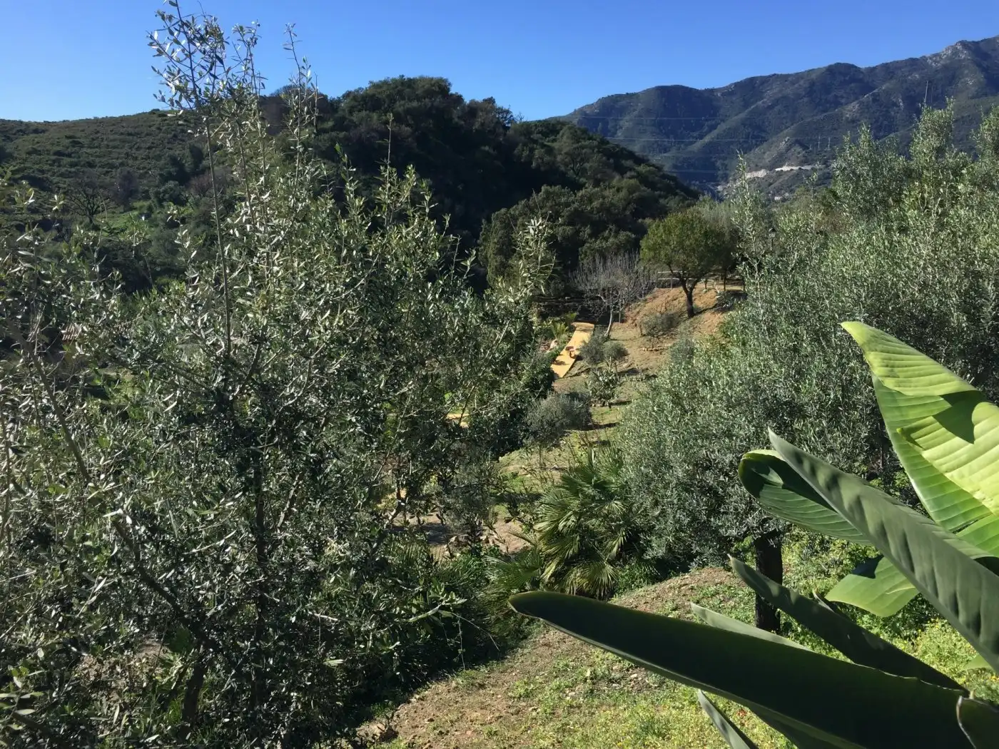 Garten von Country house zum Verkauf in Ojén mit Klimaanlage, Privatgarten und Terrasse