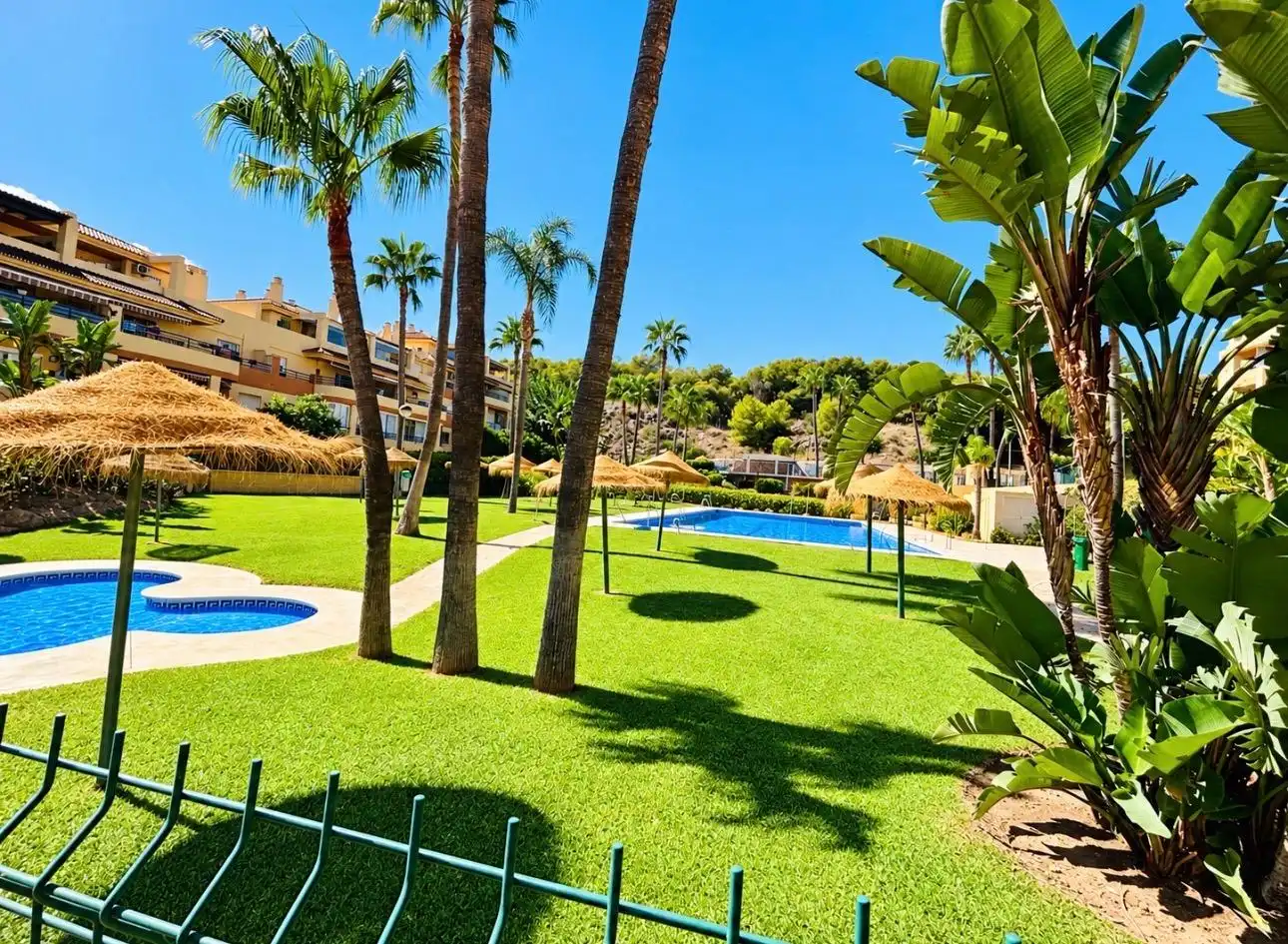 Bajo con piscina en venta en JUAN ROSA MATEO, imagen 47