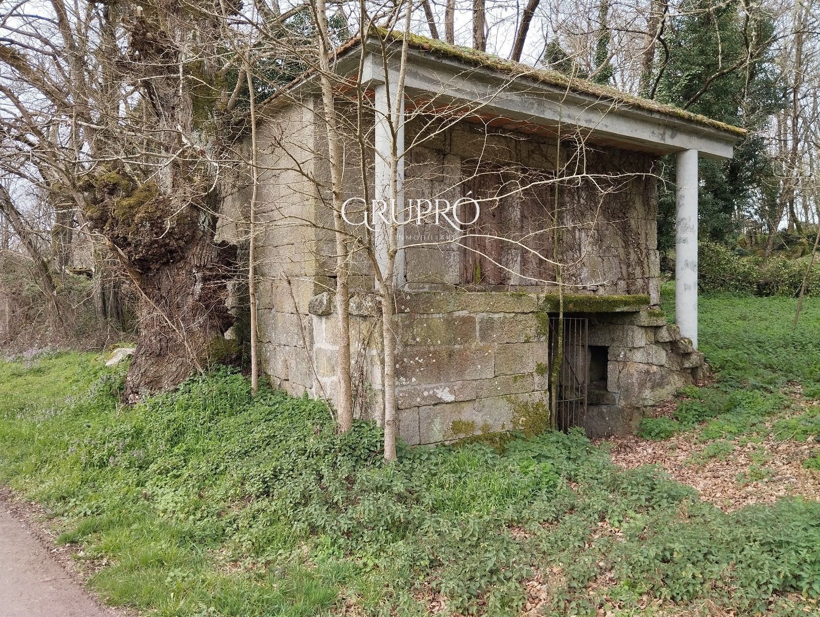 Vista exterior de Casa o xalet en venda en Nogueira de Ramuín amb Jardí privat