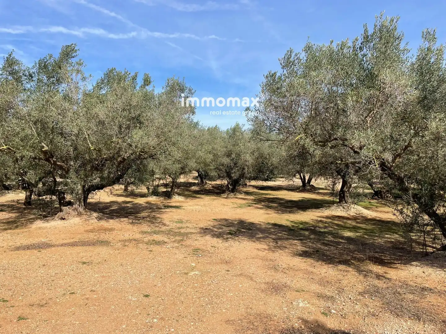 Residential land for sale in 10, imagen 25