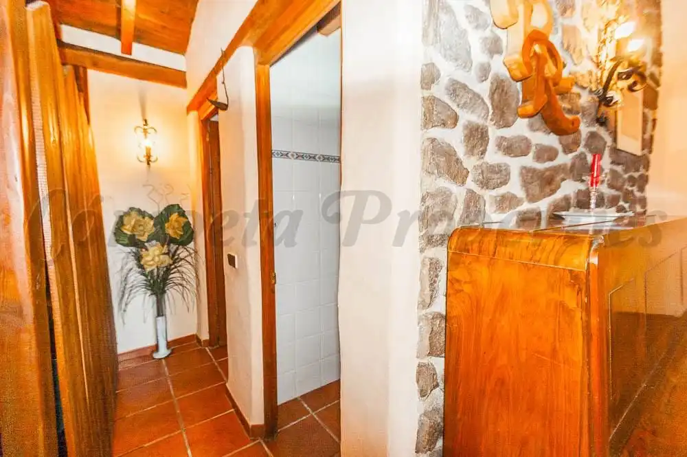 Business premises for sale in Cómpeta, imagen 8