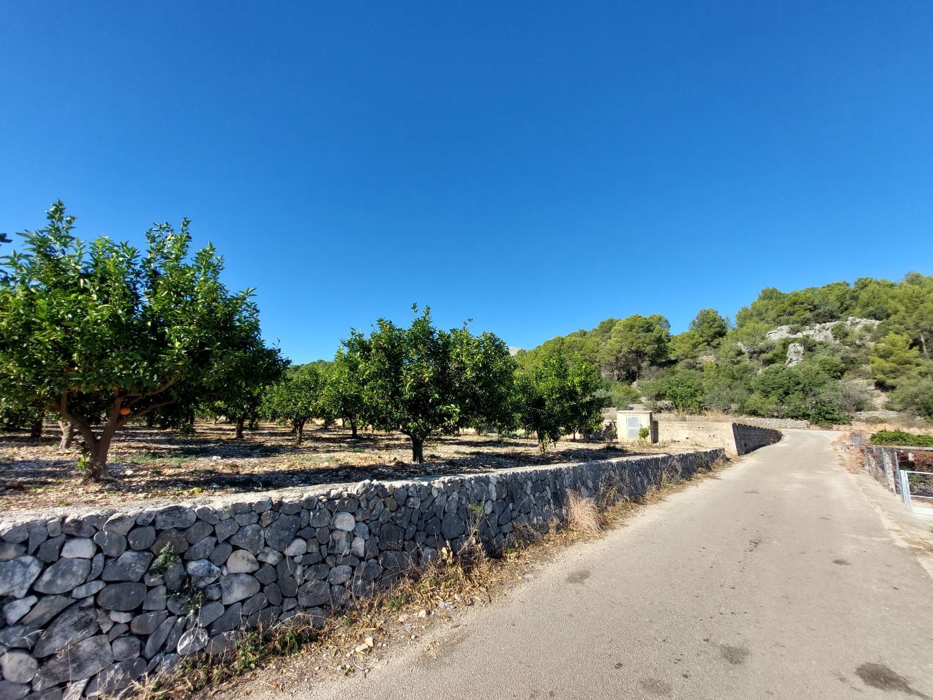 Grundstücke zum verkauf in Tormos