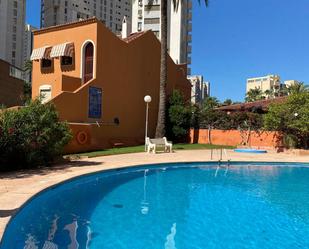 Piscina de Apartament de lloguer en Benidorm amb Aire condicionat, Calefacció i Terrassa