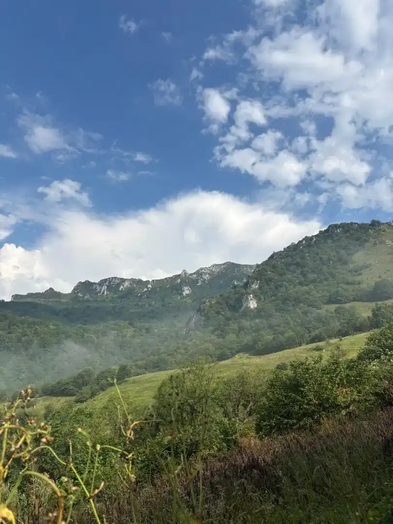 Vista exterior de Casa o chalet en venta en Quirós, Asturias