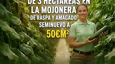 VENTA DE INVERNADERO EN  LA LOMA DEL VIENTO.