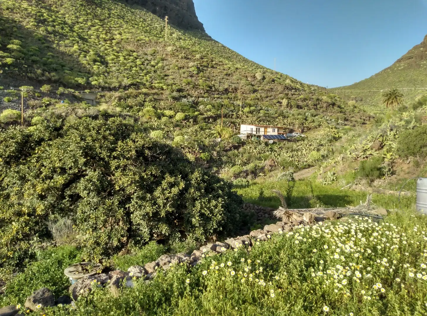 Vista exterior de Terreno en venta en Cidamón