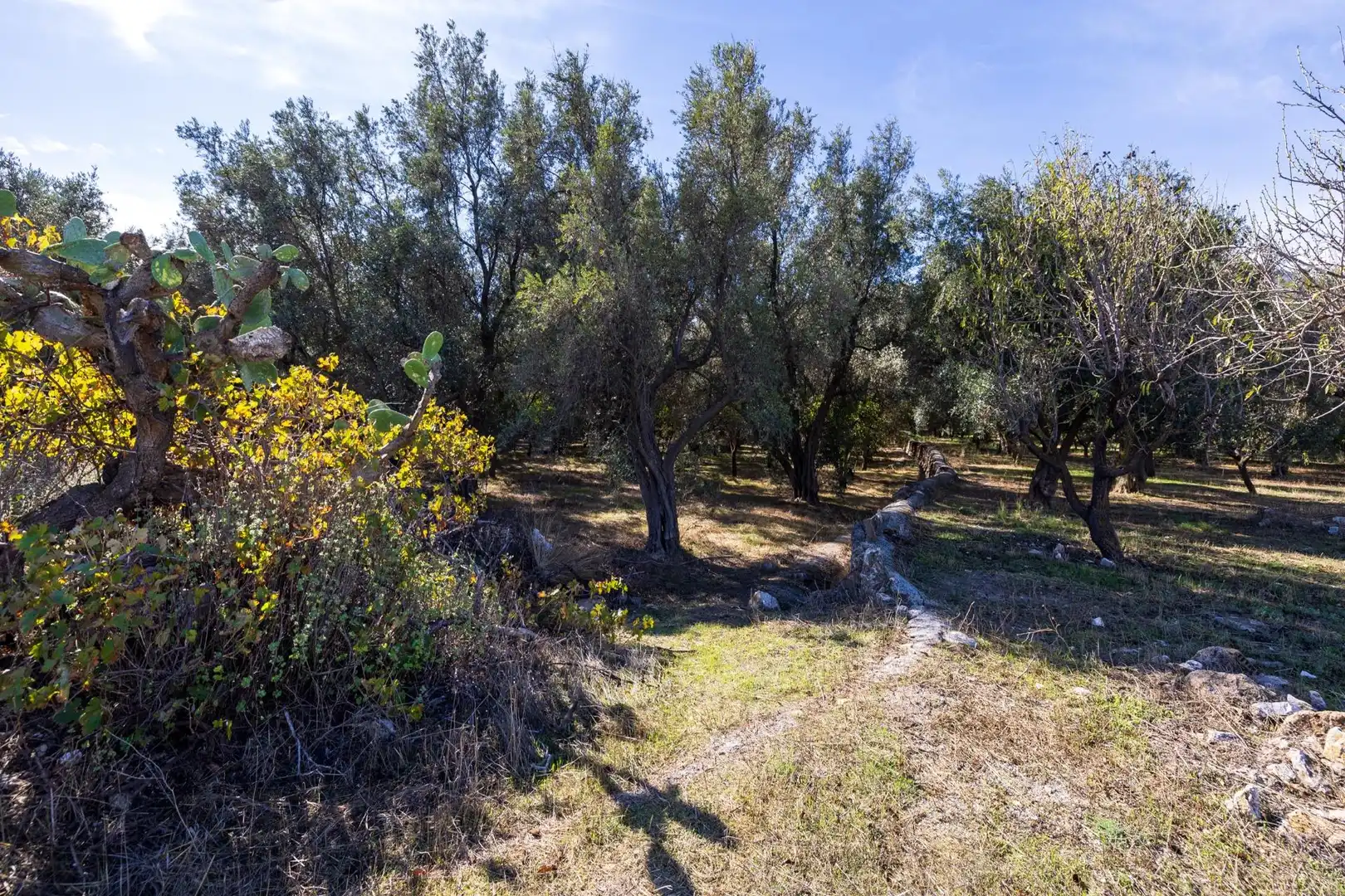 Land for sale in Lecrín