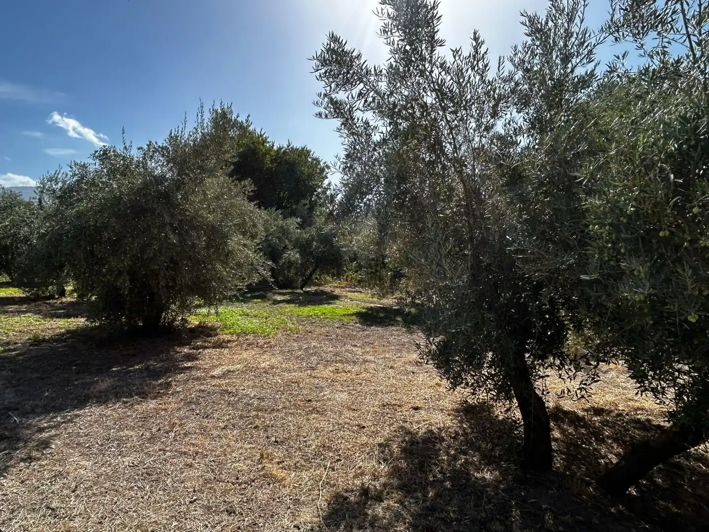 Terreni e lotti in vendita a Calicasas, imagen 6