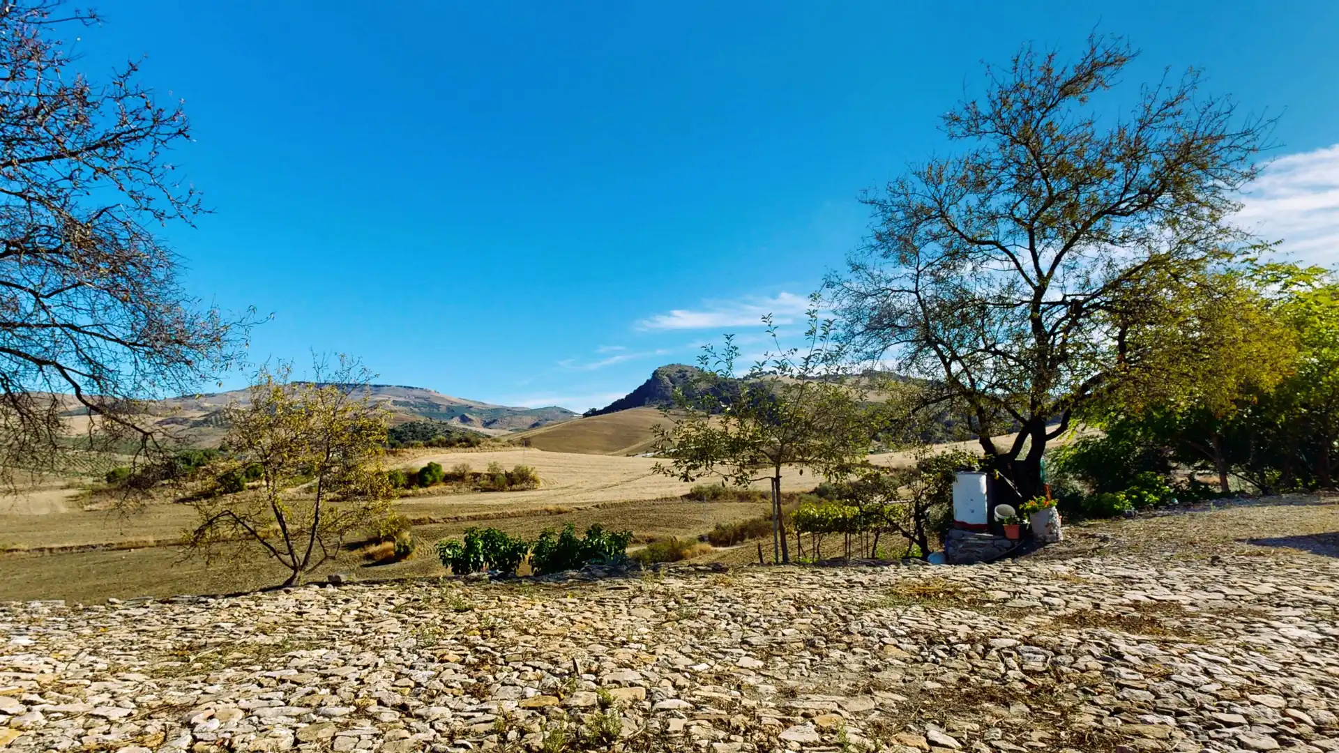 Vista exterior de Terreno en venta en Montecorto