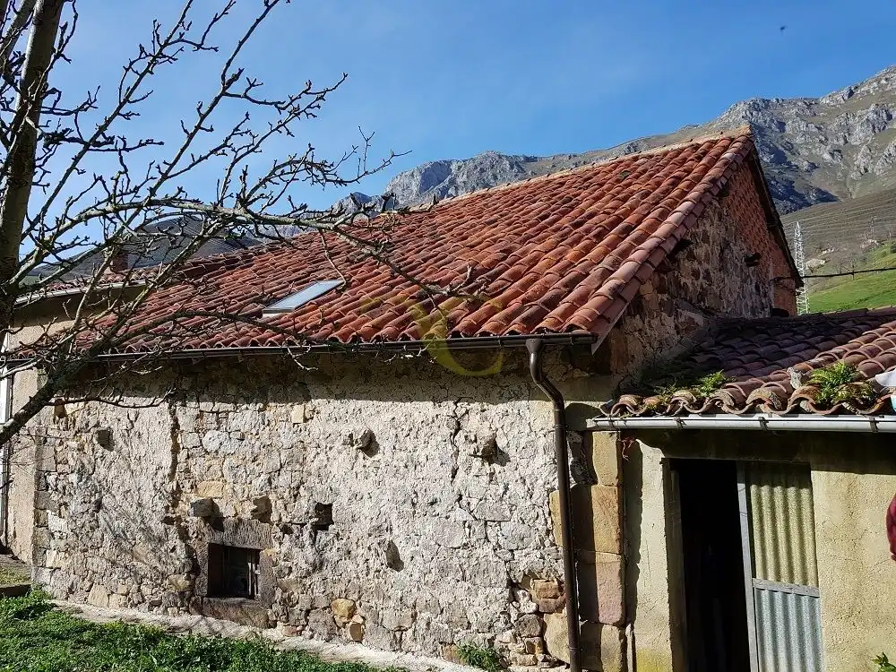 Commercial properties for sale in Rozagás, Peñamellera Alta