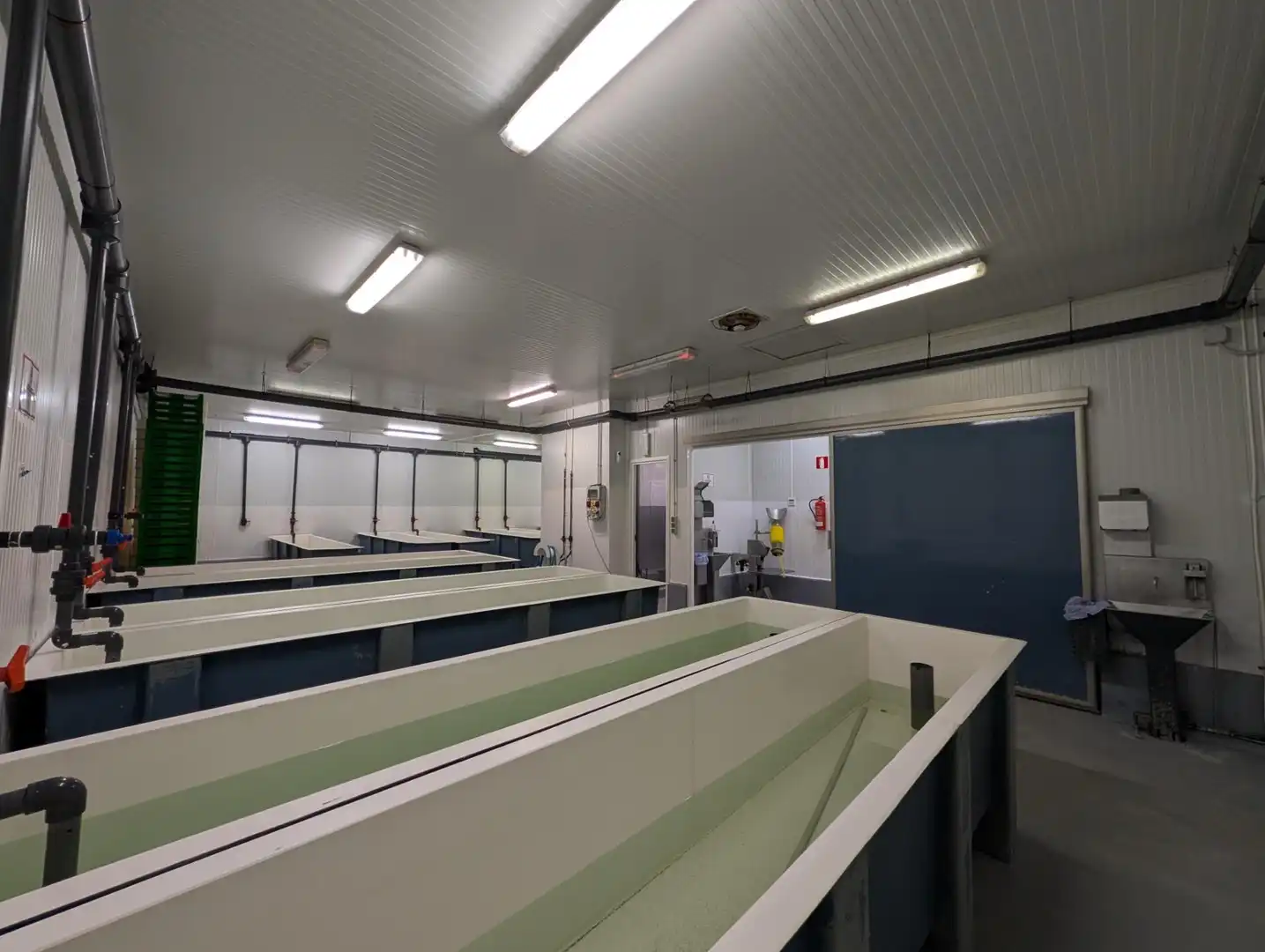 Nave industrial en venta en Ayamonte ciudad, imagen 3