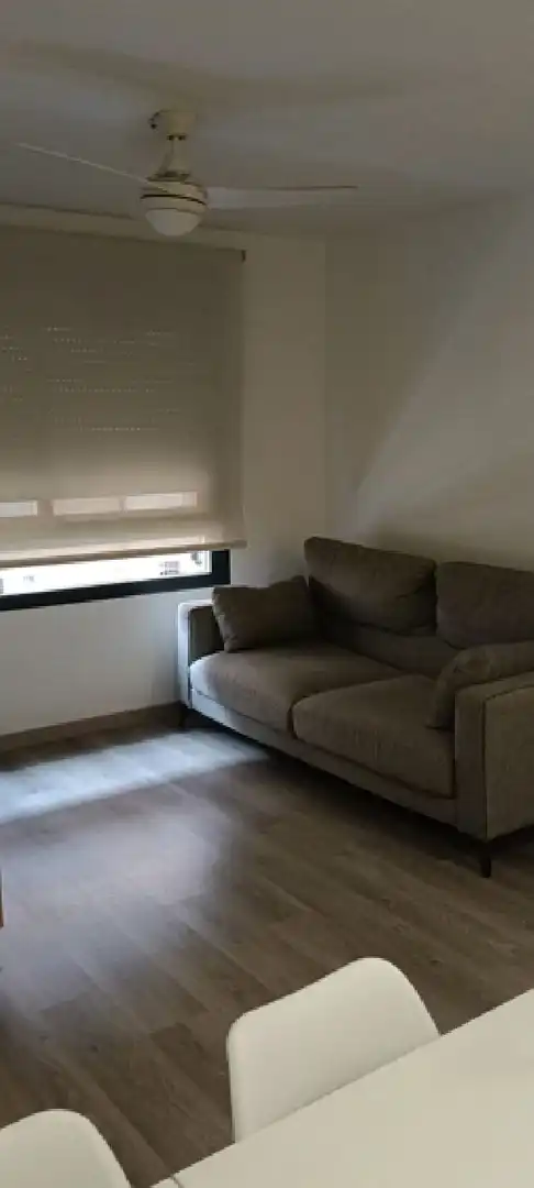 Living room of Flat for rent in Elche / Elx  with Parquet flooring, Oven and Washing machine