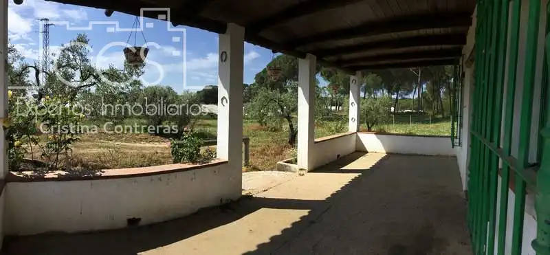 Jardí de Finca rústica en venda en Almonte amb Terrassa i Moblat