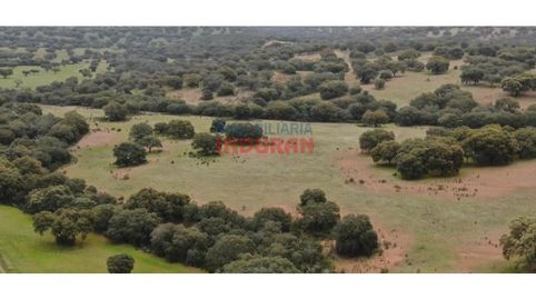 Foto 4 de Finca rústica en venta en Hornachos, Badajoz