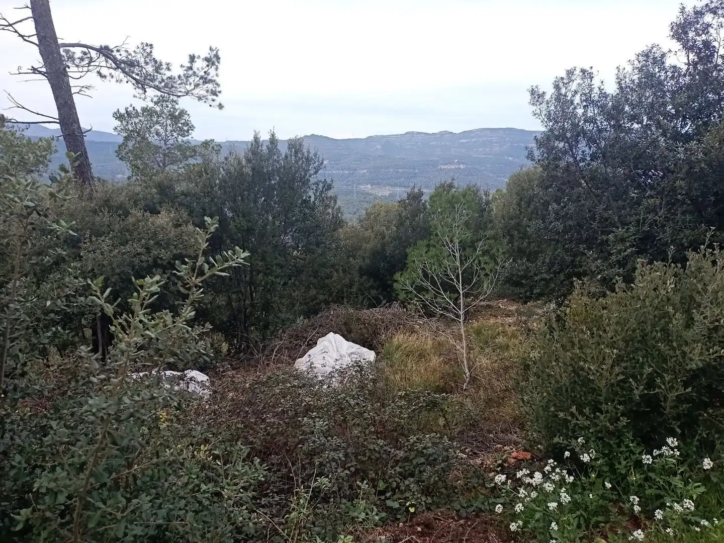 Terrenos y solares en venta en de l'espigol 12, imagen 4