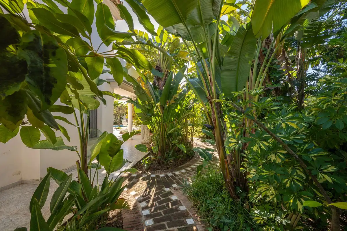Jardín de Casa o chalet en venta en Marbella con Terraza, Trastero y Piscina