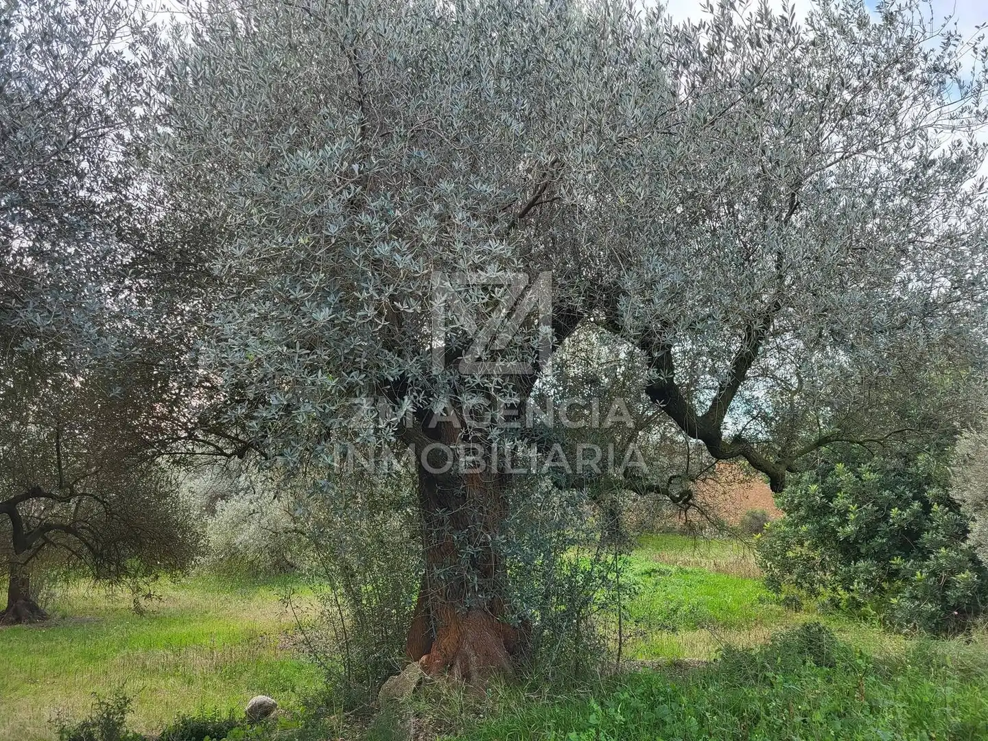 Terreno rustico in vendita a Cabanes, imagen 7