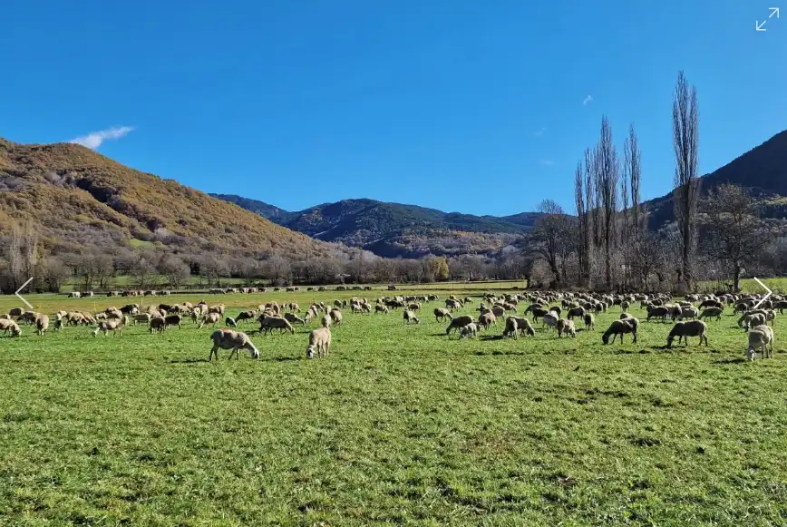 Vista exterior de Terreno en venta en Castejón de Sos