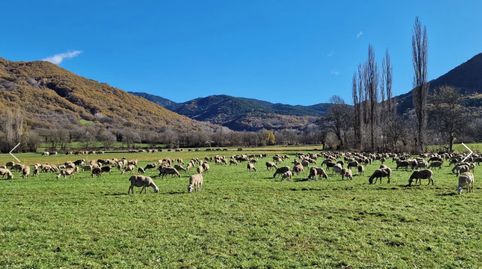 Foto 4 de Terreny en venda a Castejón de Sos, Huesca