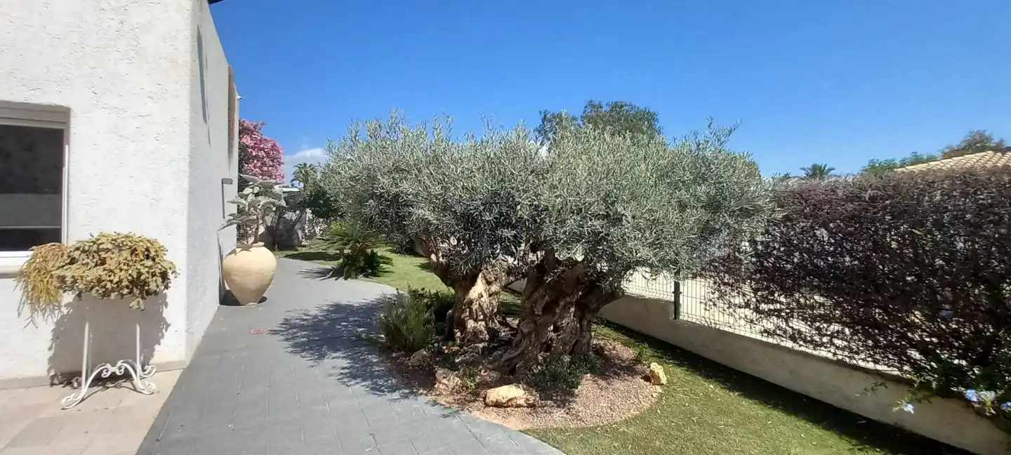 House with pool for sale in La Algarrobina, imagen 23