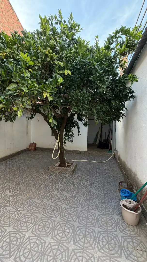 Jardín de Casa o chalet en venta en Monterrubio de la Serena con Terraza, Trastero y Amueblado