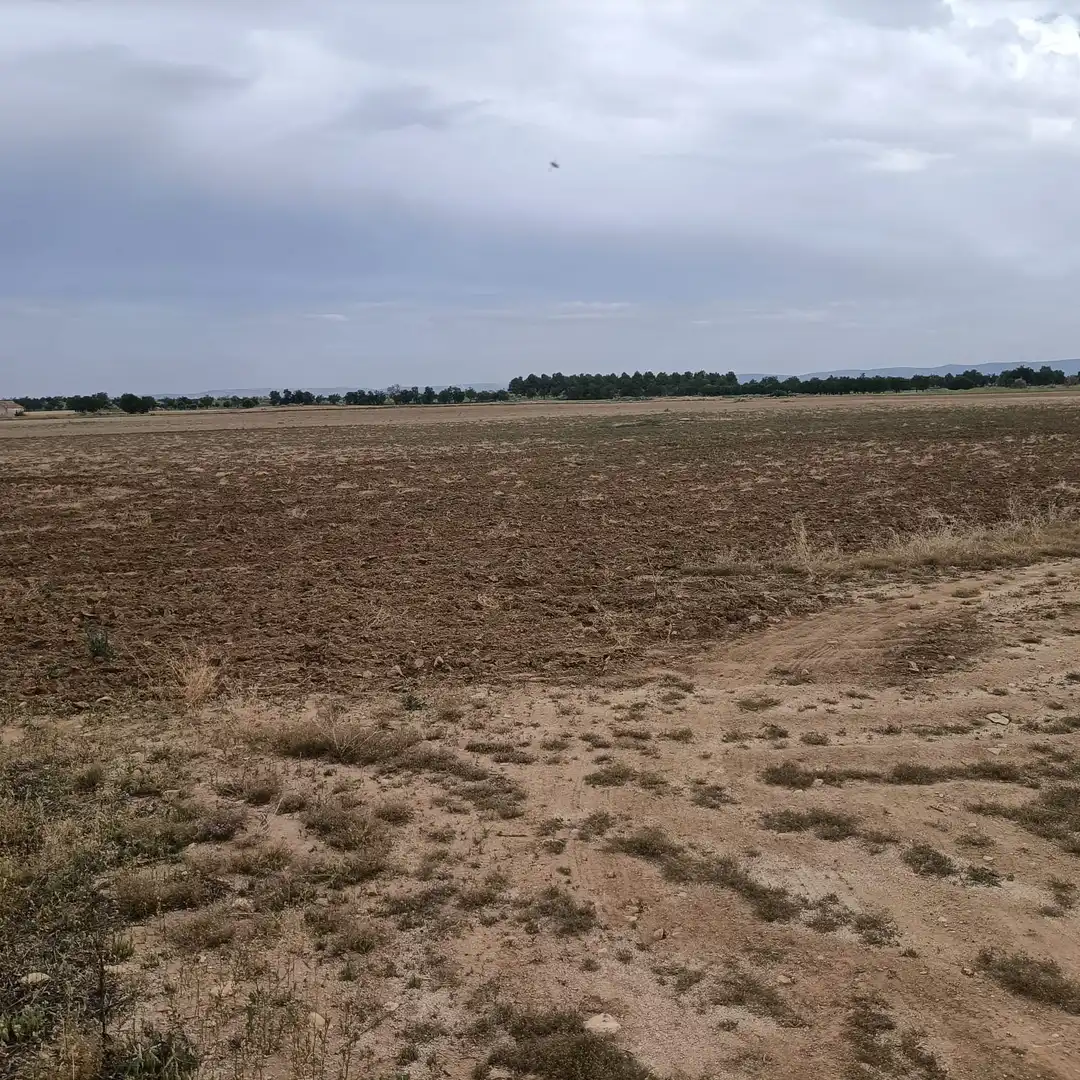 Terrenys i solars en venda a Mora, imagen 2